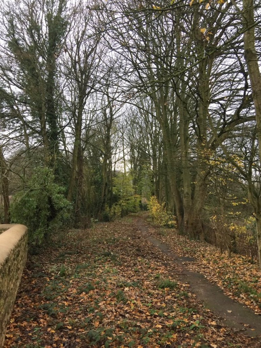 headingheritage's tweet photo. @friendlyevalley @HeadingtonNews @TonyOX3 @maryoxford @RosalindRogers @maltafkhan
#LP2018
Why include a site rejected last time?- nothing has changed!
Precious Stoke Place under threat again SP57 Ruskin Field (fence):
https://t.co/6wtpNqrOfW resp. by 28/12! https://t.co/M0LlRBCVC0