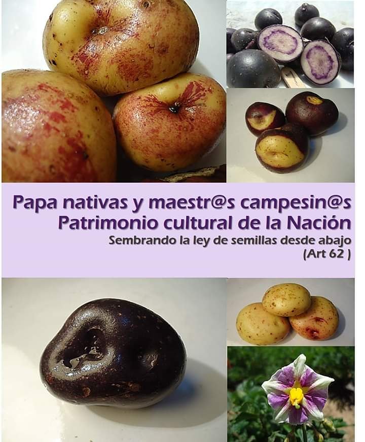 TareaOrdenamiento - QUE TIPO DE SOCIALISMO QUEREMOS - Página 11 DvHZdPqXQAAgStc