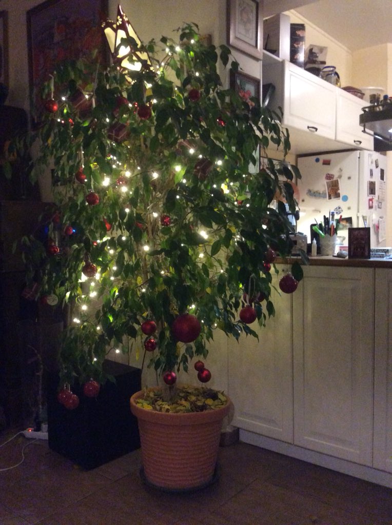 mexigyar's tweet photo. Sooooooo there was a big fuzz about who’ll do the Christmas tree and we decided to do this😂😂
Best Christmas tree ever hands down 🙏

Now that work is done might get some of dem delicious cookies 👅🍪 https://t.co/0bcKYhfeMl