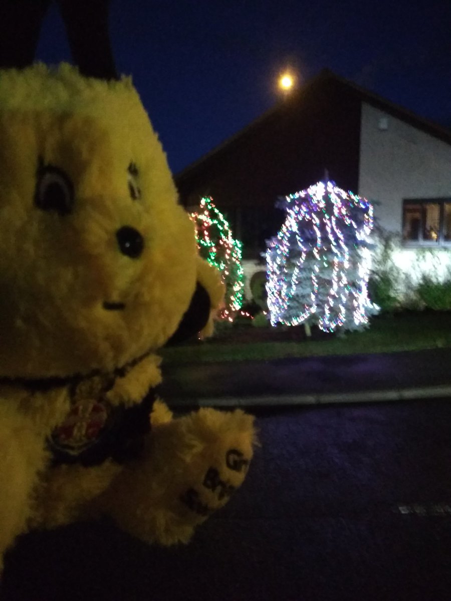 BuchanBee's tweet photo. 2 more sleeps to go! Look how pretty the Christmas lights are! #ambassabeeADVENTures #BeeChallengeDay23 #GBisThePlaceToBee @GBSChiefExec @gbinscotland https://t.co/jJtduyQ6w1