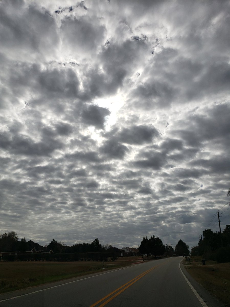 tami_2_u's tweet photo. #RidenWithTamz #BeautifulAlabama https://t.co/SjEk0UyTaz