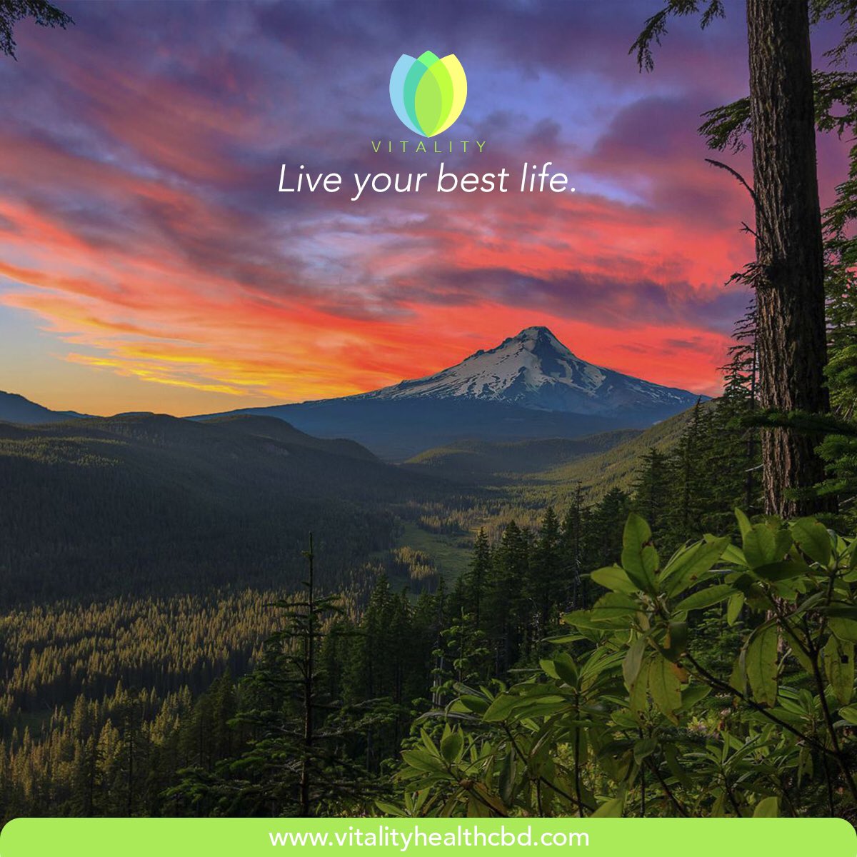 VitalityCbd's tweet photo. Live your best life. Visit https://t.co/qogQpqyuAq #VitalityHealthCBD #CBD #nanoparticle #Vitality #health #healthylifestyle #lifestyle #cbdlifestyle #cbdoil #cbdheals #cbdhealth #holistichealing #holistichealth #westcost #liveyourbestlife https://t.co/NqFEZm036L