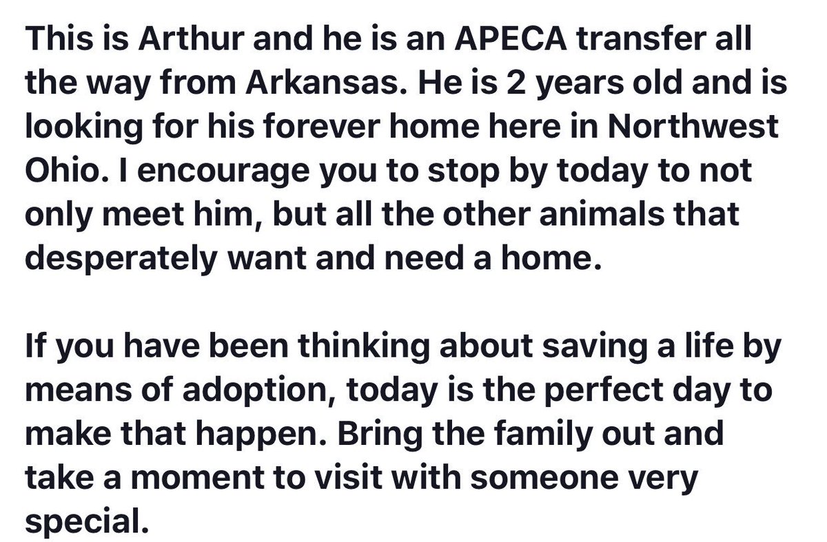 ToledoHumaneSociety tweet media