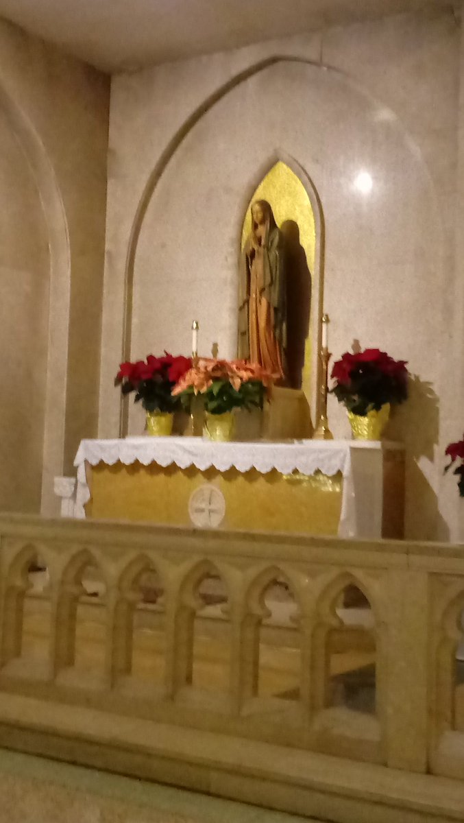 TheBread_OfLife's tweet image. Fourth Sunday of #Advent2018 HolyMass is about to begin Jesus is calling souls to HolyMass Will u answer the Master&apos;s call?