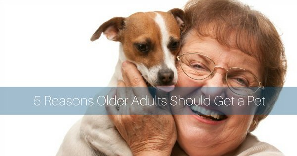 greenplanet777's tweet photo. Pets are all-loving and nonjudgmental, so they are always there for you no matter what mood you are in or how y...- https://t.co/2VT31nQ4C0 https://t.co/SVVtuNWfzX