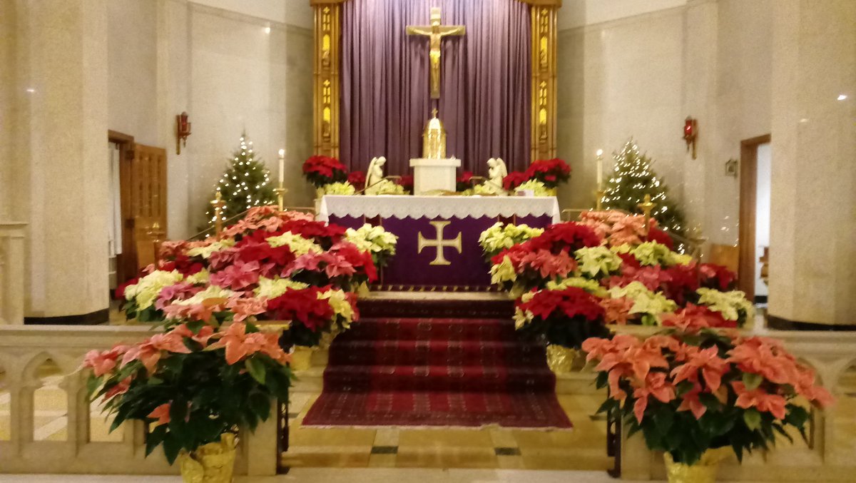 TheBread_OfLife's tweet image. Fourth Sunday of #Advent2018 HolyMass is about to begin Jesus is calling souls to HolyMass Will u answer the Master&apos;s call?
