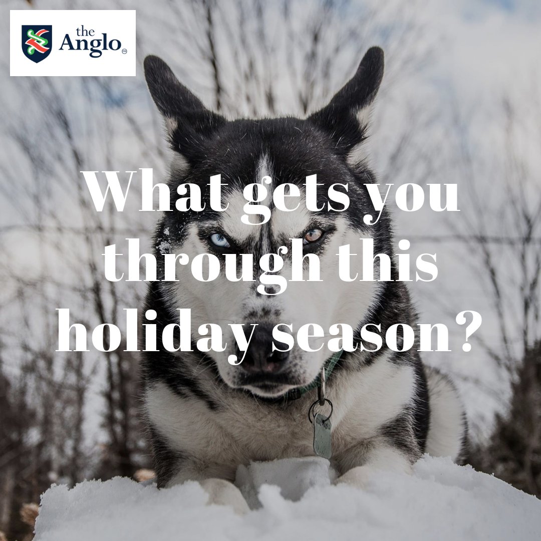 Hola grinches del mundo ¿qué les hace más llevadera esta época?