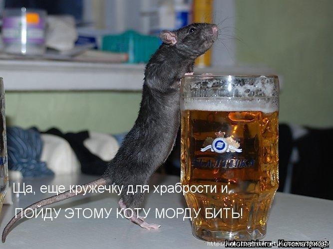 Наливай и не стесняйся Наливай и не стесняйся