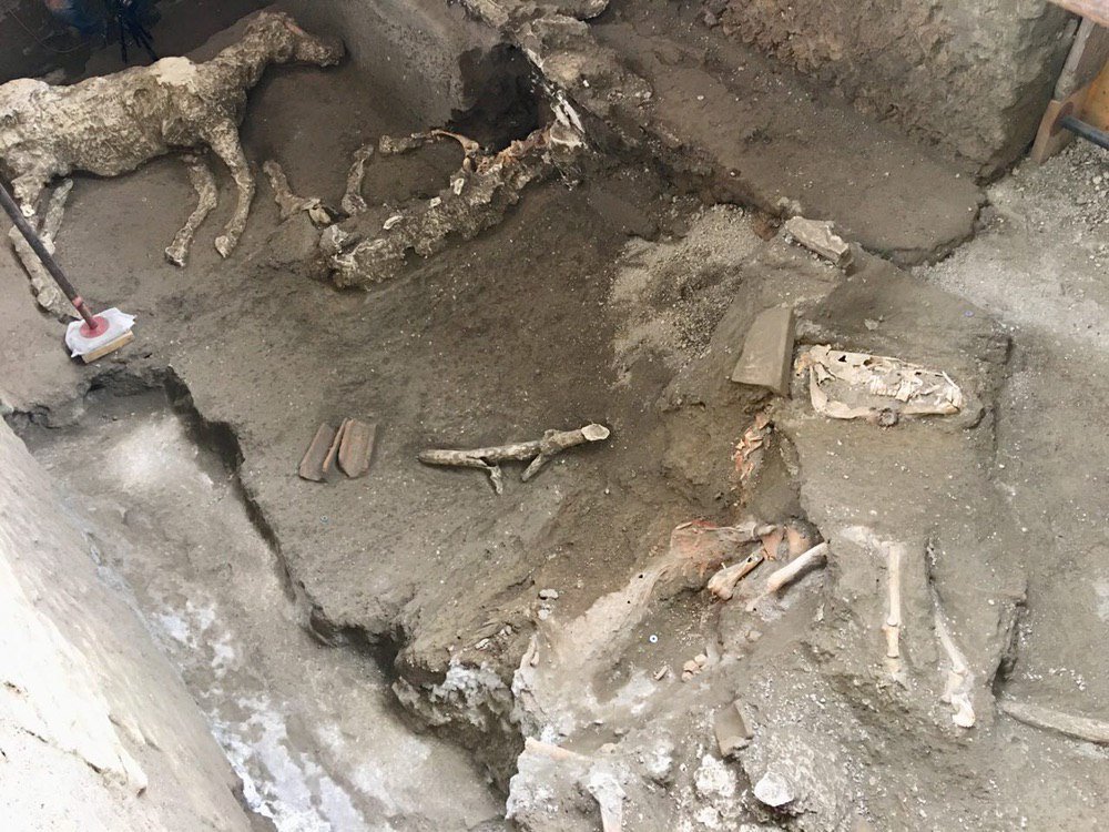 pompeii_sites's tweet image. Scoperto un terzo cavallo di razza con ricca bardatura militare nella stalla di Civita Giuliana 🐴
(foto 1 di Cesare Abbate/Ansa) 
pompeiisites.org/comunicati/sco…
