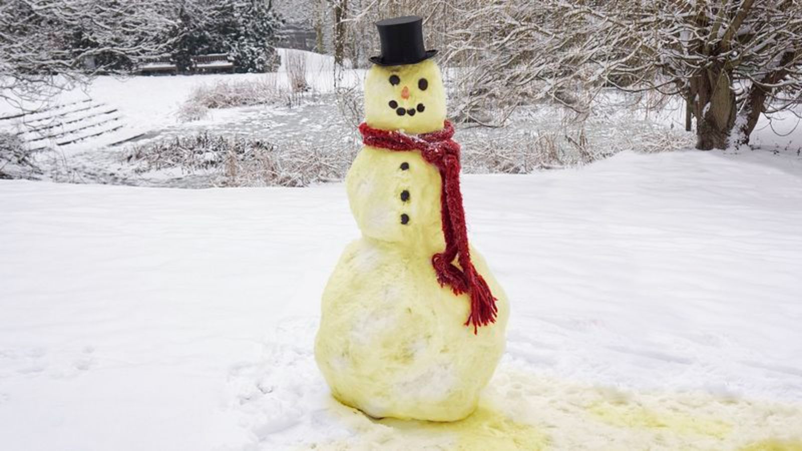 Major Innovation: Child’s Snowman Is Made Entirely Of Piss Snow. 