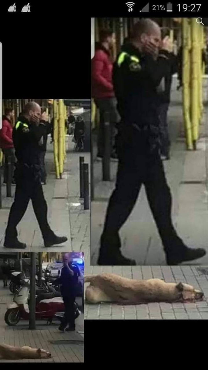 Osbenitezok's tweet photo. El policía que mató a Sota. Podréis borrar nuestras publicaciones una y otra vez. Qué nosotros nos encargaremos de publicarlas de nuevo. #JusticiaPorSota #JusticiaParaSota #TodosSomosTauri https://t.co/FUTXu3W6c1