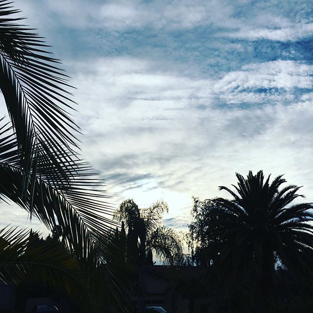 papa940911's tweet image. #runninglate today but since my last Spartan and my less than stellar times I’ve really #embracethesuck of running and now I actually really enjoy running. I’ve applied some #maffetonemethod and kept my heart rate and overall time as my constants. I don’… bit.ly/2AcavZY