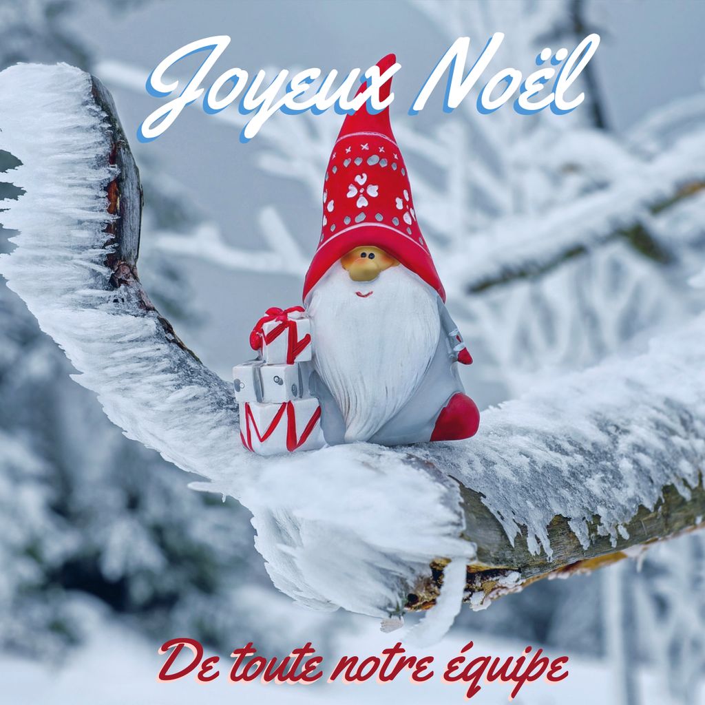 Toute l'équipe LEMONDEinc vous souhaites ses meilleurs voeux en cette période de réjouissances.