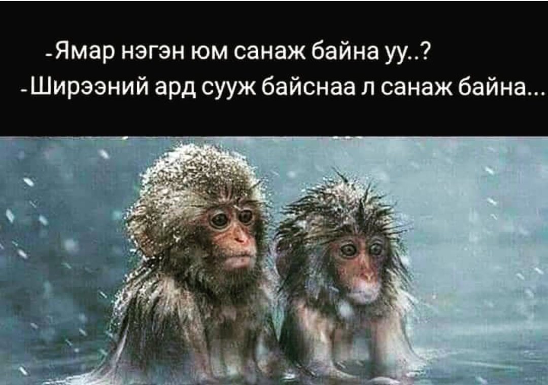 За энэ хэн 2 шиг харагдаж байна...