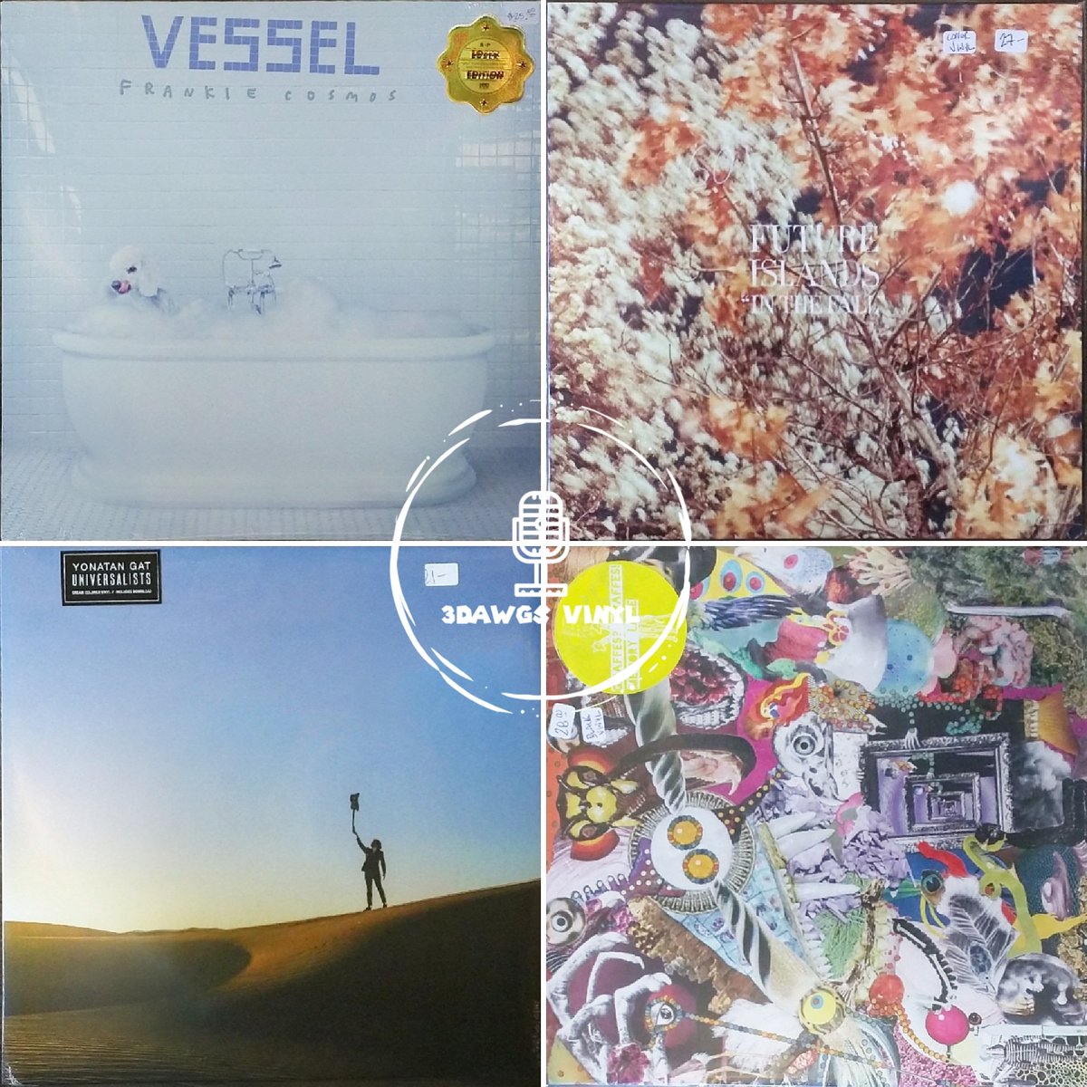 3DawgsVinyl's tweet photo. More indie titles in stock. @frankiecosmos #Vessel #LoserEdition , @futureislands #InTheFall , #YonatanGat #Universalists & @GGband #MemoryLane. #VinylAddict #vinylforever #VinylForSale https://t.co/X251sgMMJc https://t.co/VSOFFM2rwH