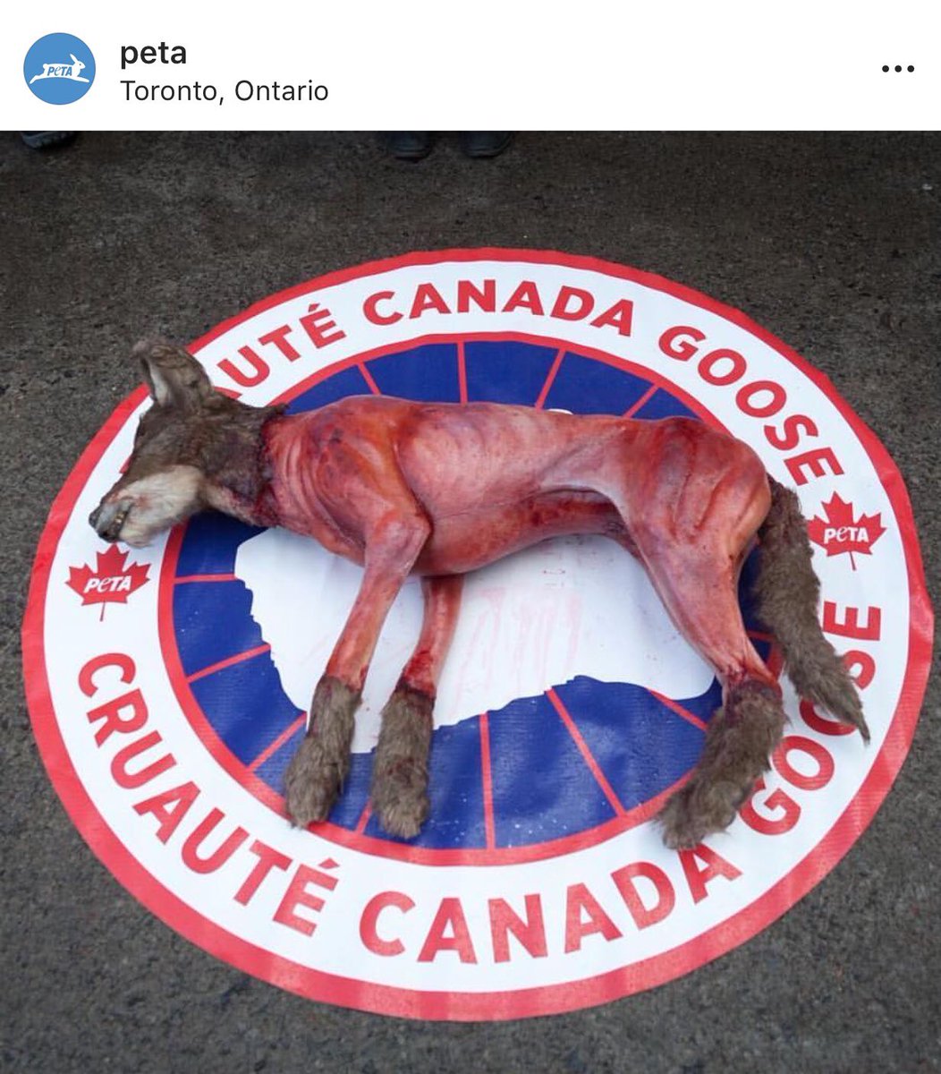 Is your fur-rimmed hood worth it?

<a href="/peta/">PETA</a> #furfree #skinfree #dog #dogs #coyotte #usa #canada #CanadaGoose #ethical #ethicalfashion #veganfashion #vegan #wintercoat #fashion #streetwear #StreetStyle #crueltyfree #cruelty #animalfriendly