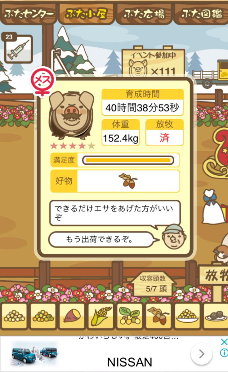 ヒュースとん Ryukyu Pigfarm Twitter ヒュースとん Ryukyu Pigfarm Twitter