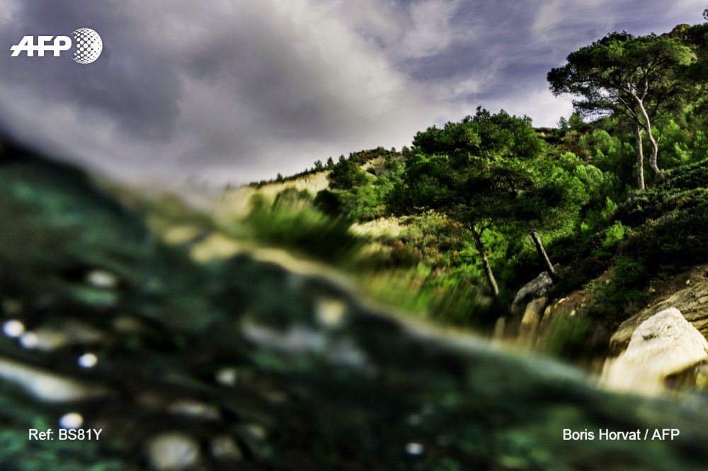 Guérin Nadine on Twitter "🤩…