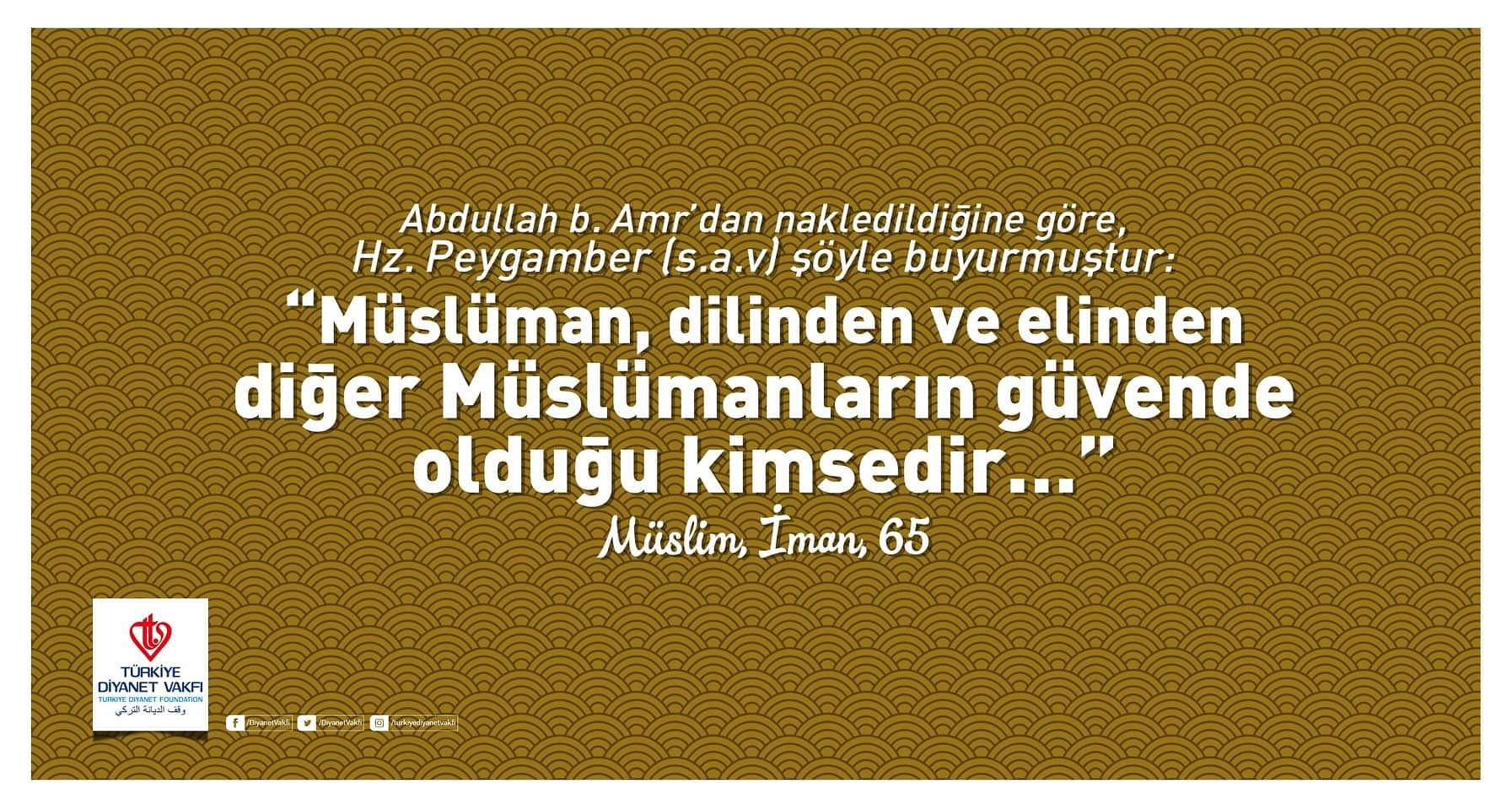 Türkiye Diyanet Vakfı on Twitter: &ldquo;“Müslüman, dilinden ve elinden diğer