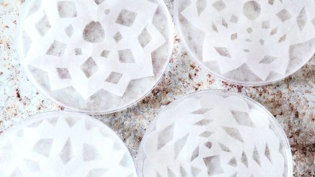 HSTools's tweet image. Are you dreaming of a white Christmas? Make these Christmas crystals in 4 easy steps! bit.ly/2SJzP0d 

#merrychristmas #happyholidays  #homesciencetools