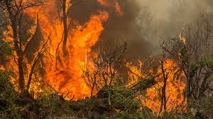 Προβολή εικόνας στο Twitter