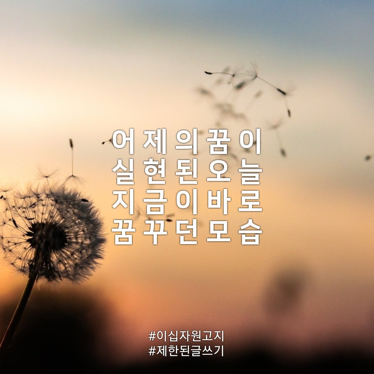 꿈 을 꾸 고
희 망 하 자

#제한된글쓰기 
#이십자원고지