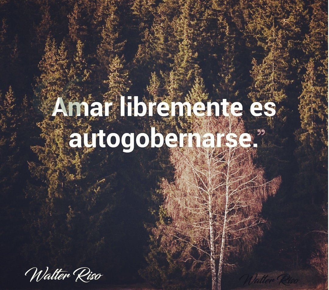 krofeather's tweet photo. #freelove
#selfmanagement
#amorlibre https://t.co/zC27bh91qq