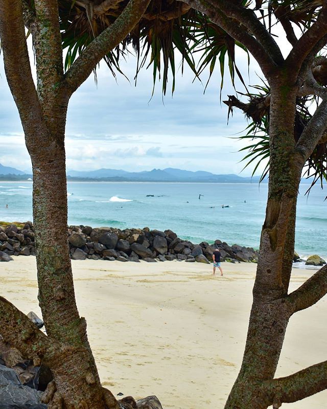 Early morning beach walks are the best.

#byronbay @visitnsw #beach
#amazingplaces #mainbeach #tv_australia #be_one_beach
#cruising_australia 
#seeaustralia 
#aussiephotos 
#takemetoaustralia
#igersmelbourne
#exploringaustralia
#pocket_australia
#ig_disc… bit.ly/2AeZrLB