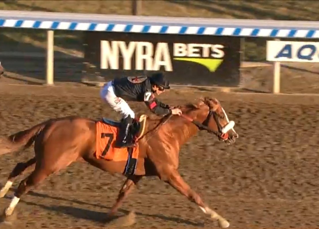 J_JerkensRacing's tweet photo. Point To Remember and Junior Alvarado take the 7th race at Aqueduct. https://t.co/80SXEcyeYa