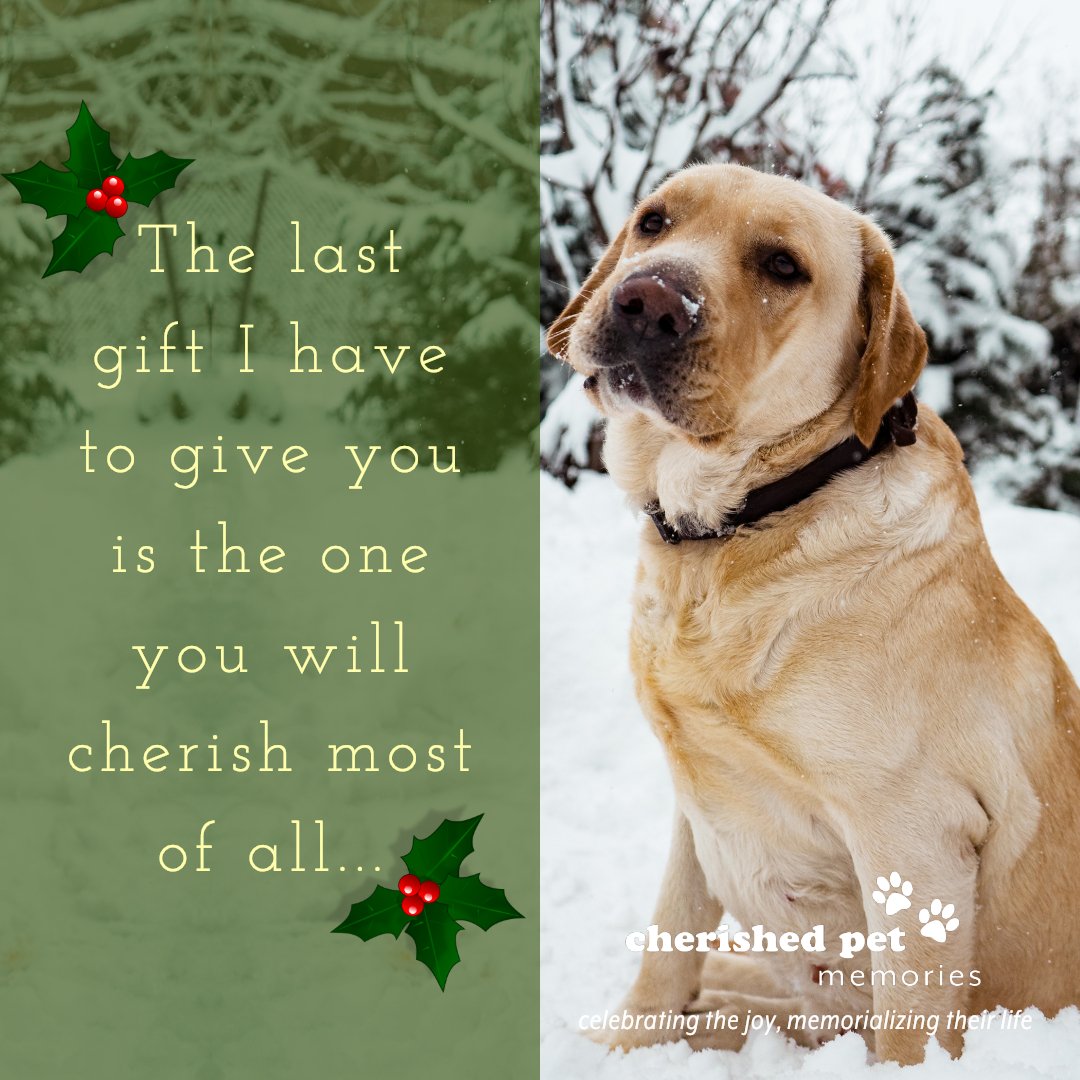 cherished pet memories (@cherished_pet) / Twitter cherished pet memories (@cherished_pet) / Twitter