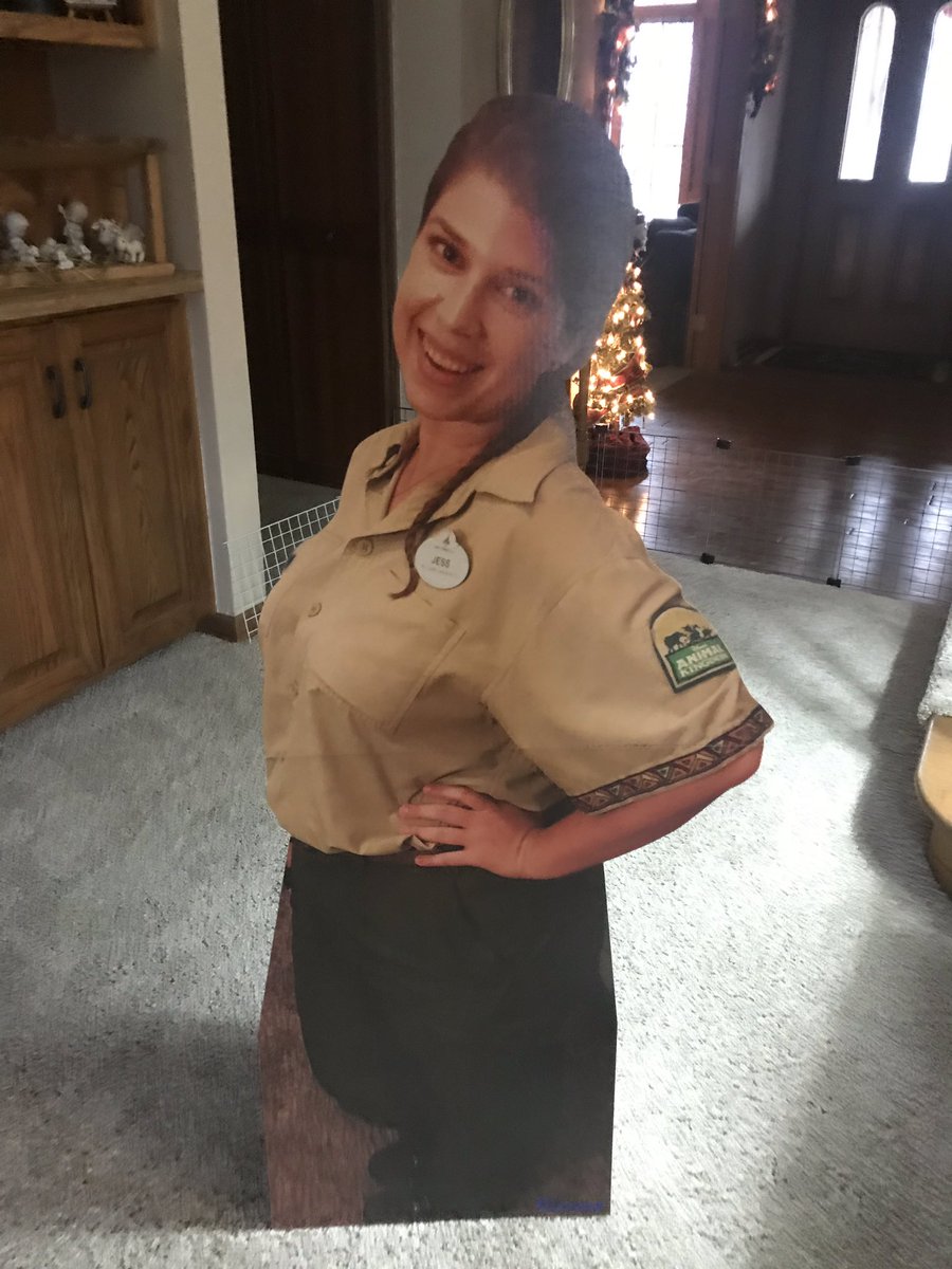 N_Bergman1's tweet photo. Today as we opened his gift, instead of getting a cut out of Alex we received Jess. A midget cut out of someone who works at Animal Kingdom. I feel bad for the family that thought they were getting a cut out and instead got this man rocking Jorts. @Fathead #HelpFindAlex https://t.co/Qx3TweK5ZU