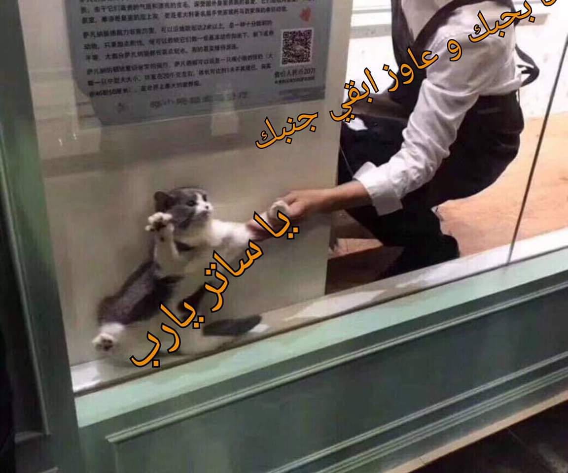 NadaELdackrouny's tweet photo. يا ساتر يا رب https://t.co/pUDNDp7qJB