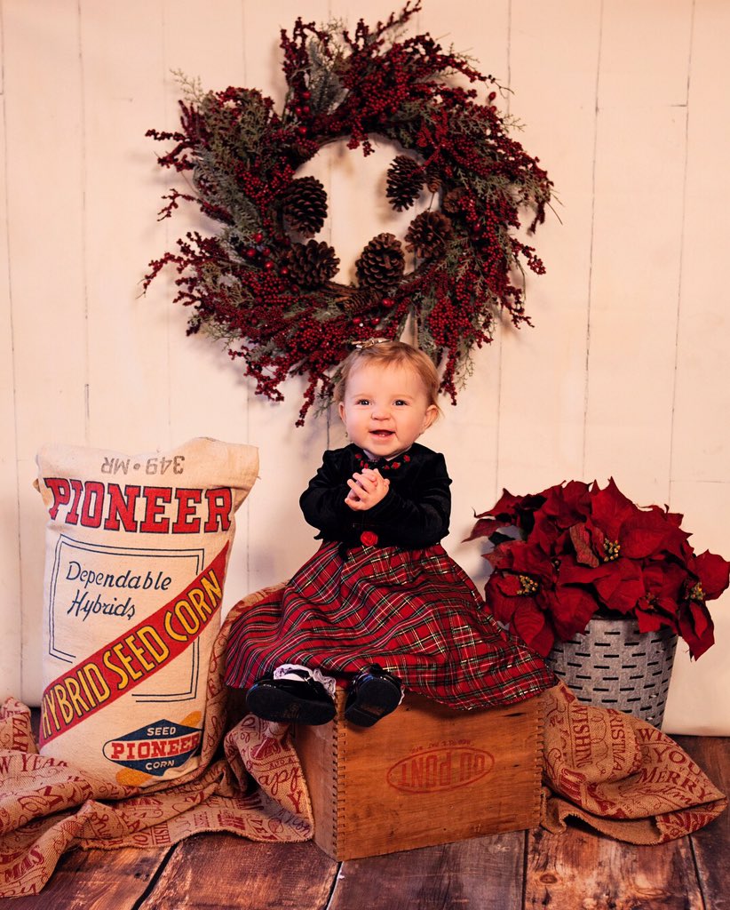 PrairieViewSeed's tweet photo. ...a little photo shoot for a fellow Pioneer Sales Rep’s granddaughter. Merry Christmas from Miss Pioneer 2018. 🌽🎄#jesclabornphoto @PioneerSeeds https://t.co/cnEqm5W3SF