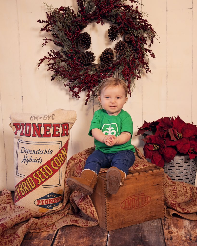 PrairieViewSeed's tweet photo. ...a little photo shoot for a fellow Pioneer Sales Rep’s granddaughter. Merry Christmas from Miss Pioneer 2018. 🌽🎄#jesclabornphoto @PioneerSeeds https://t.co/cnEqm5W3SF