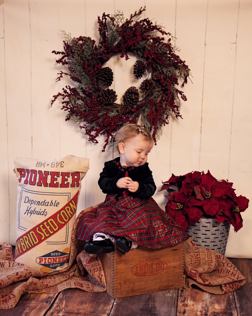 PrairieViewSeed's tweet photo. ...a little photo shoot for a fellow Pioneer Sales Rep’s granddaughter. Merry Christmas from Miss Pioneer 2018. 🌽🎄#jesclabornphoto @PioneerSeeds https://t.co/cnEqm5W3SF