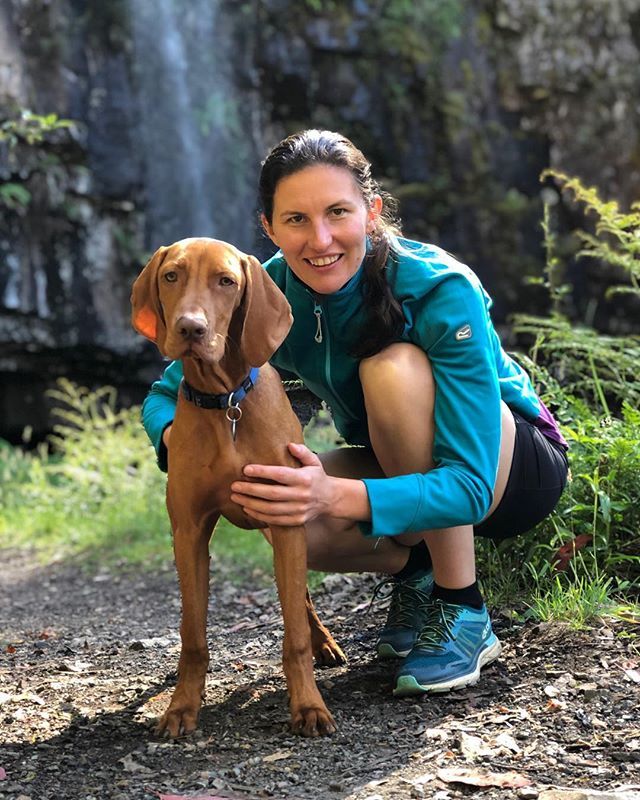CarleyMckay's tweet photo. Showing our little man all the exciting places to visit. 
#bindareefalls #lovizsla #vizslasofaustralia #vizsla #yourhappyplace https://t.co/zWhoThrB3G