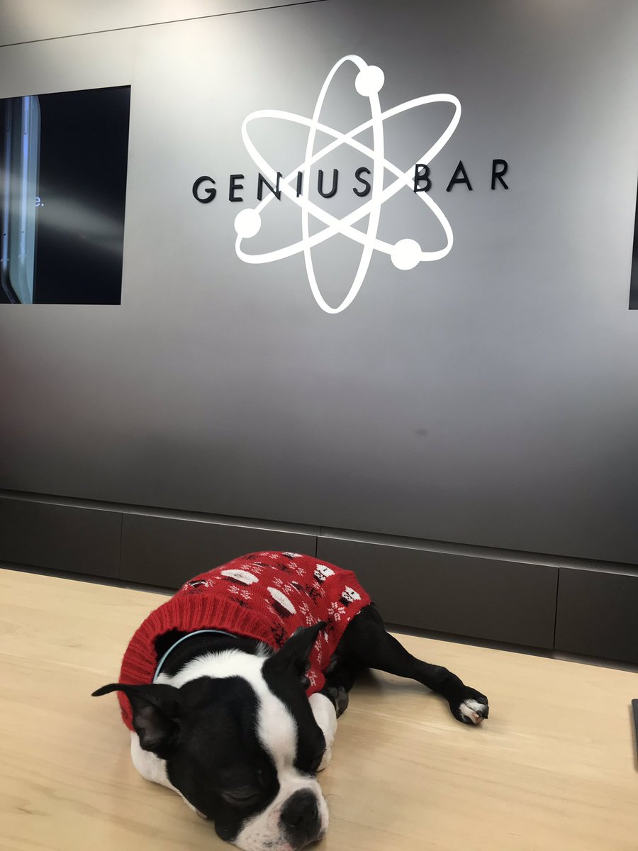 PaveenaGordon's tweet photo. @Apple your employees are sleeping on the job https://t.co/tJpfiz9nuW