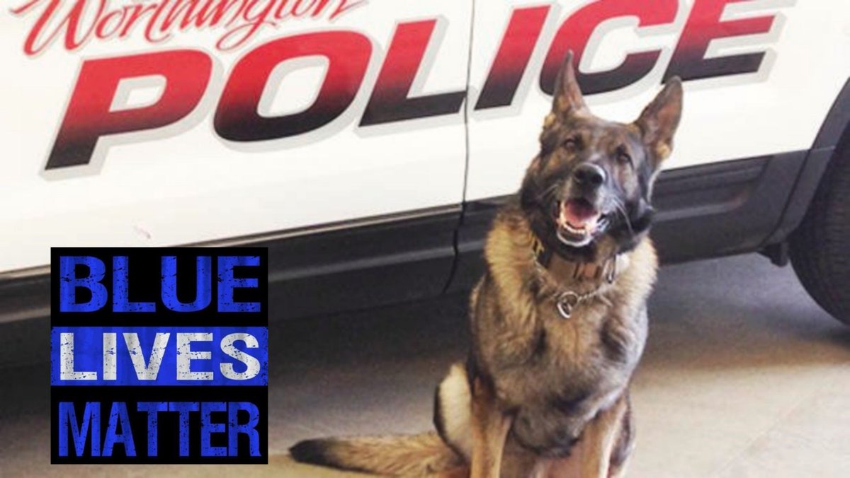 HERO DOWN: With sadness the Worthington PD announced the passing of K9 Thor. He worked from 2009 to 2016 and was a good cop and an even better friend to his partner C. Palmersheim. Rest in peace, Hero. 😢
#BlueLivesMatter <a href="/WorthingtonPD1/">Worthington Police</a>

Credit: buff.ly/2CvtW1k