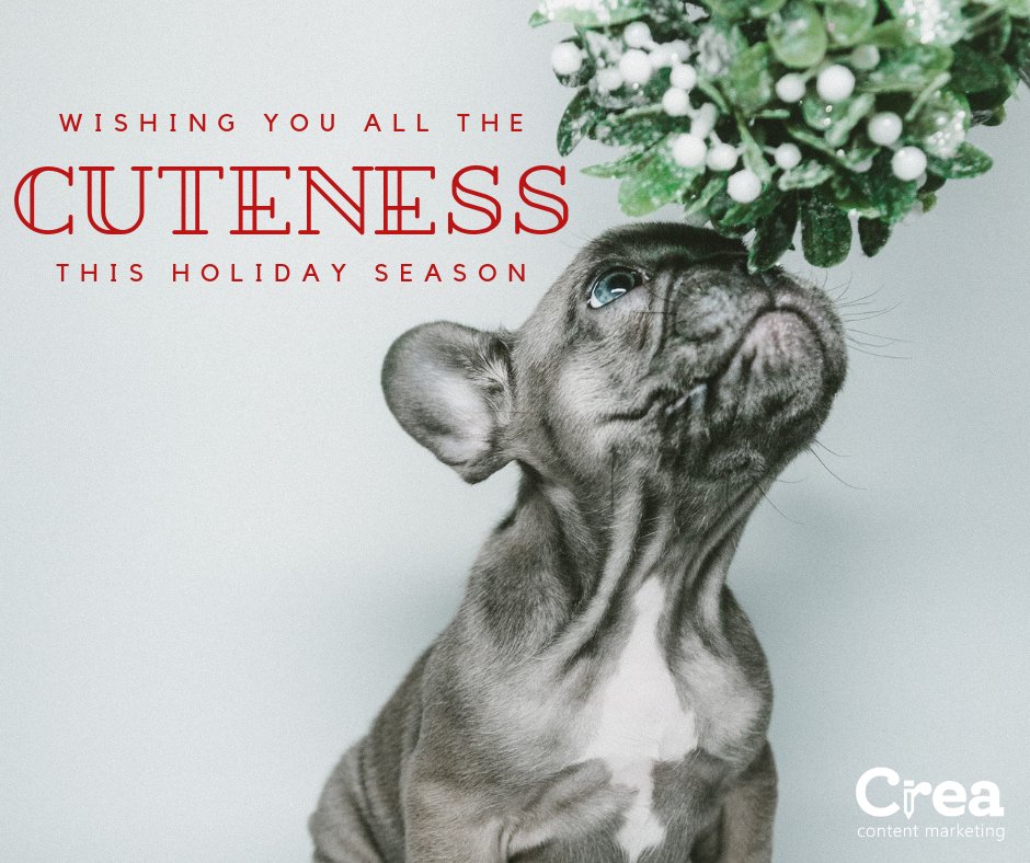 CreaContentMarketing tweet media