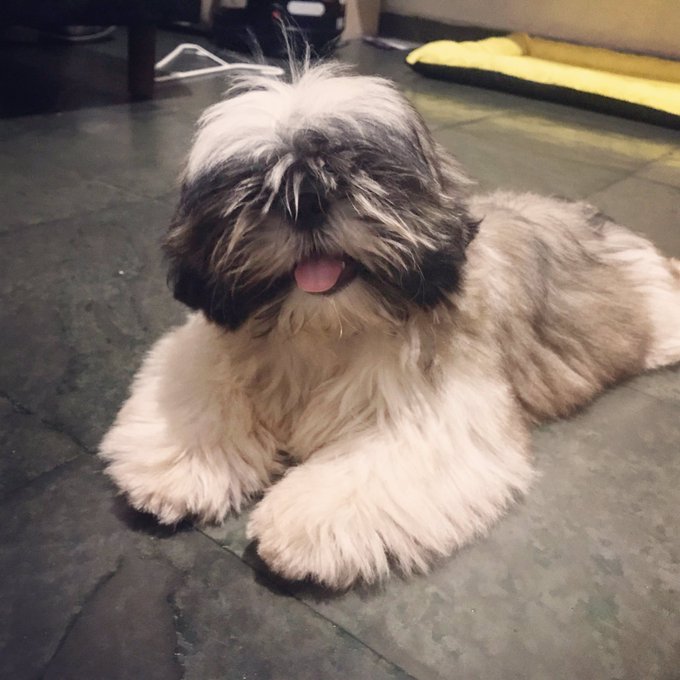 Iti malia https://t.co/ZCol3q5yuY<a href="/tag/meuanivers%C3%A1rionotwitter"class="tags"><span>#meuanivers&aacute;rionotwitter</span></a>