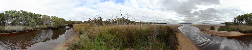 PerditaPhillips's tweet photo. solstice walk to the mouth of #Yakamia Creek #OysterHarbour for #followthewaterAlbany2018 tannin stained water. pelicans in the distance. #walkingart #perthartist #australianartists #both_and #porousrepair #permeablefutures #edgescapes #listening #environmentalart #ecoart #Albany https://t.co/tkT9UR9pDg