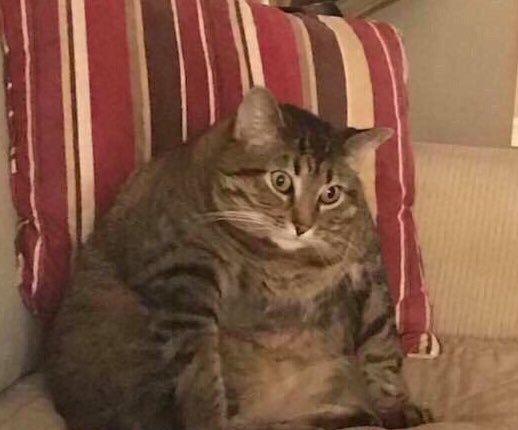 Jason Todd. (@hoodedlaw) on Twitter photo 