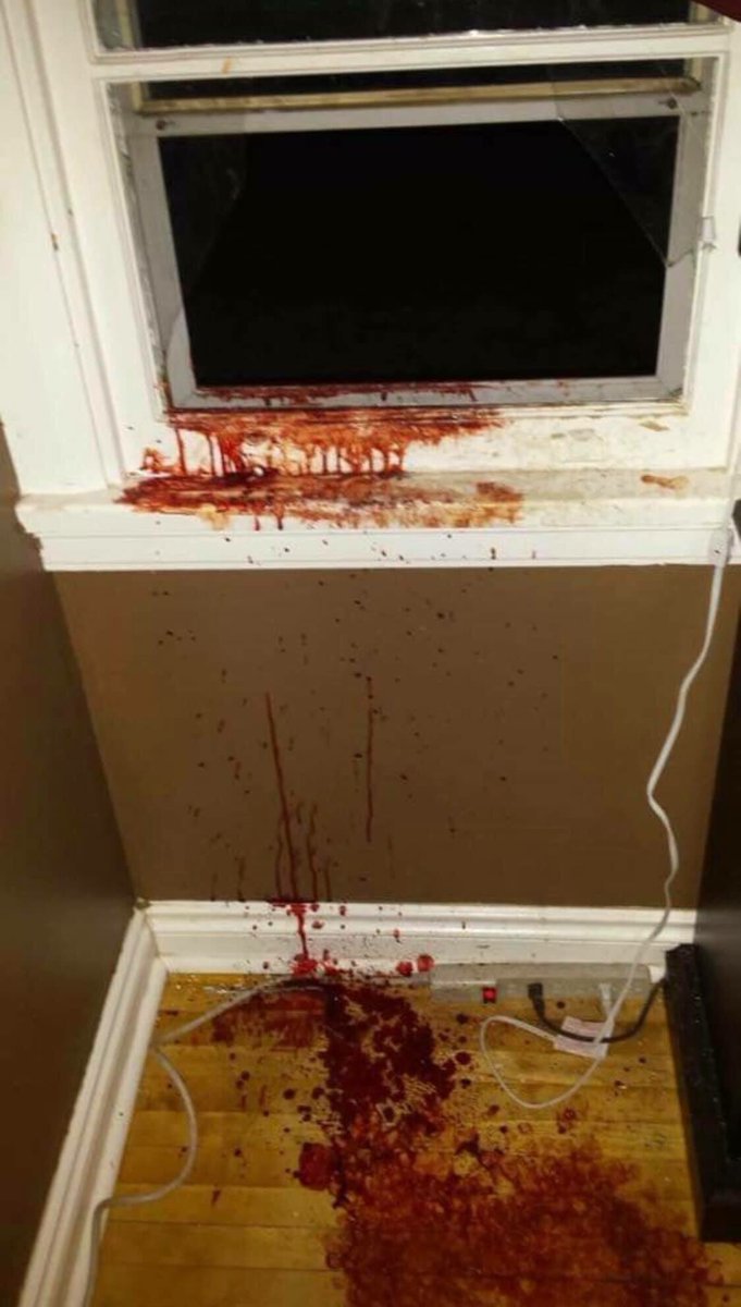 fourzer0seven's tweet image. To the mf who broke into my house last night, how did it feel when you met the suga momma of the house? Be happy she got to you before we did 💁🏼‍♀️🐼