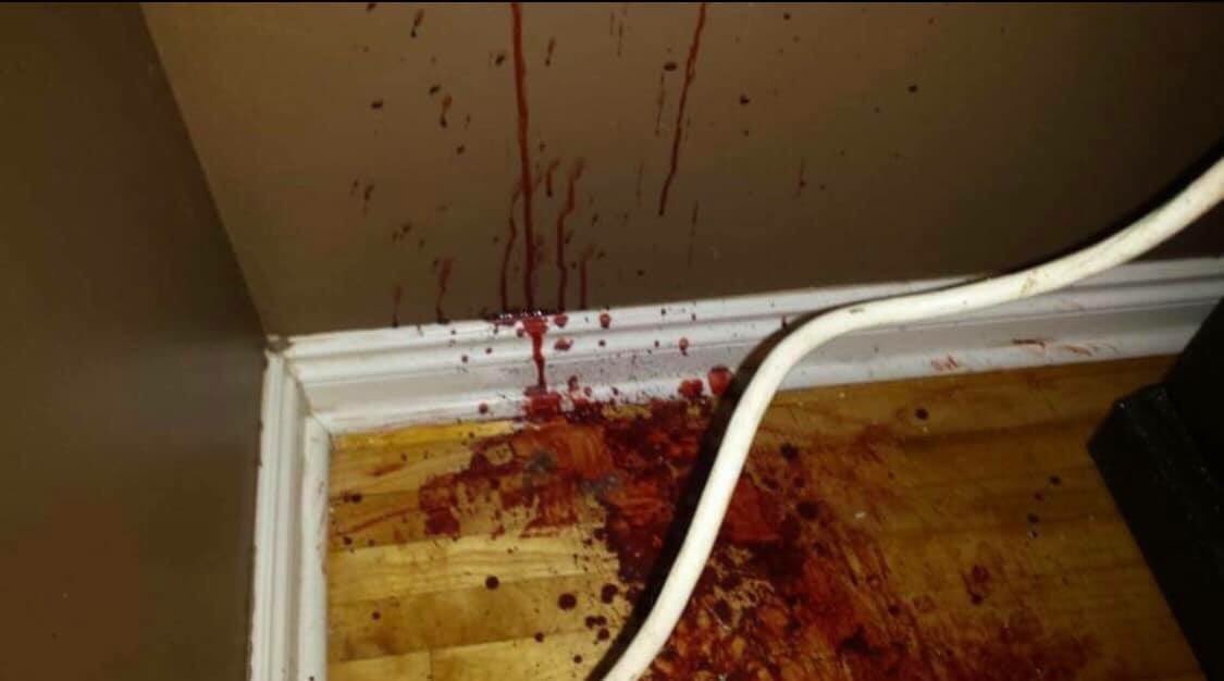 fourzer0seven's tweet image. To the mf who broke into my house last night, how did it feel when you met the suga momma of the house? Be happy she got to you before we did 💁🏼‍♀️🐼