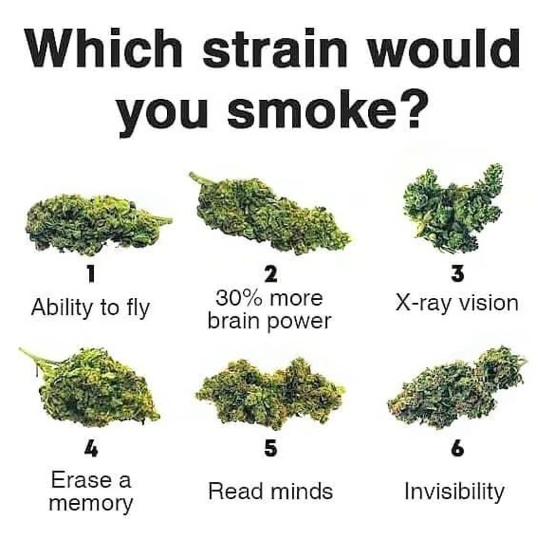 cloudponics's tweet image. You can achieve #1 when you grow your own #cannabis with CLOUDPONICS automated hydroponics systems.
•
•
•
#Cloudponics #GrowFromTheCloud #LedGrown #GrowYourOwn #GrowWeed #LegalCannabis #MarijuanaCulture #Hydroponics #HydroponicsSystem #marijuanagrowers #cannabisgrowers