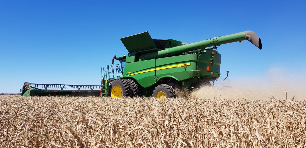 Tim Schulz tweet media