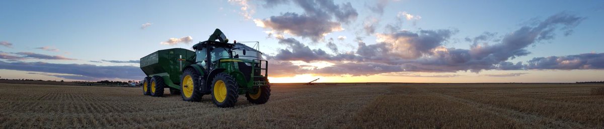 Tim Schulz tweet media