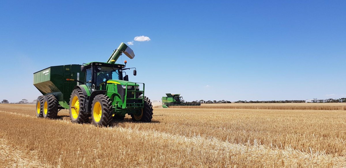 Tim Schulz tweet media