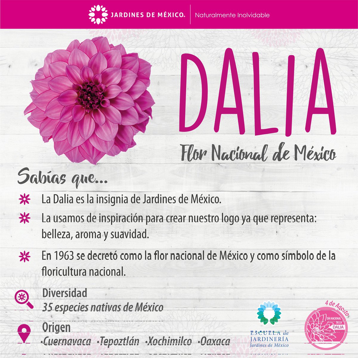 Jardines de México on Twitter: Jardines de México on Twitter: