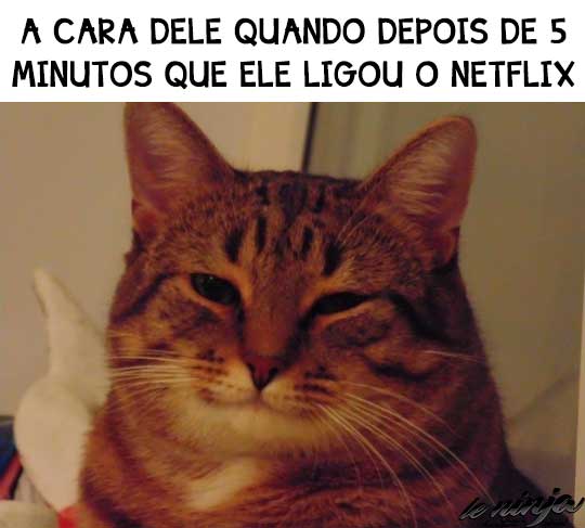 Tá afim de assistir um Filminho Ninja? ---> cineminha.ninja 

<---- SOMENTE UMA PROPAGANDA!!! ---->

<---- SOMENTE UMA PROPAGANDA!!! ---->

#HappyBirthdayLouis #Fantástico #NFLnaESPN Steelers Antonio Brown Faustão #Seahawks #ProgramaSilvioSantos Tiago Volpi